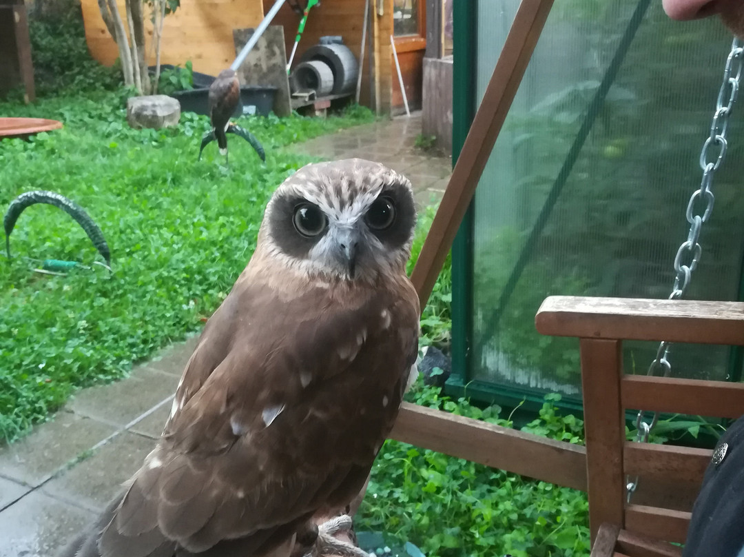 skyhunters in nature -frechen-Frechen必去景点