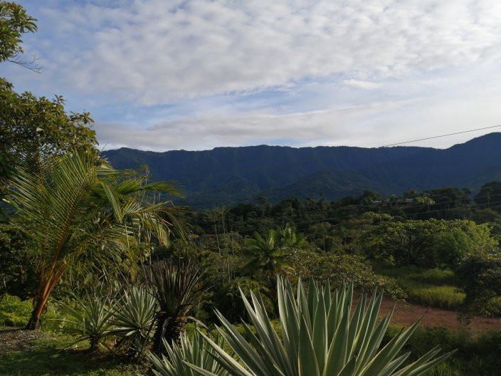 Alma De Ojochal主图