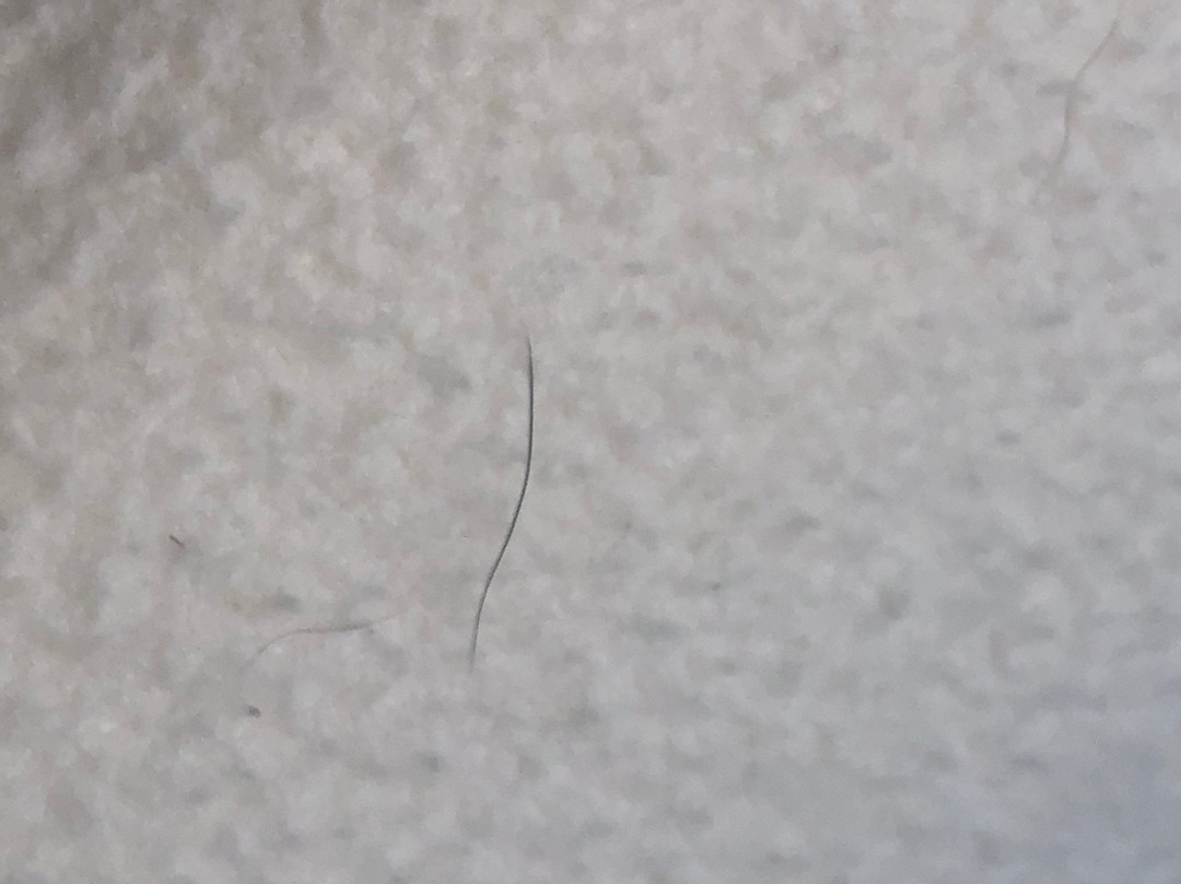 Super 8 by Wyndham Escanaba主图