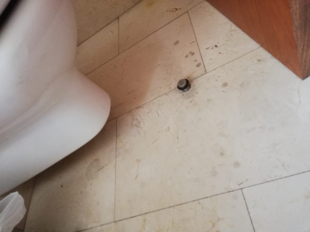 Hotel Sant Roc主图