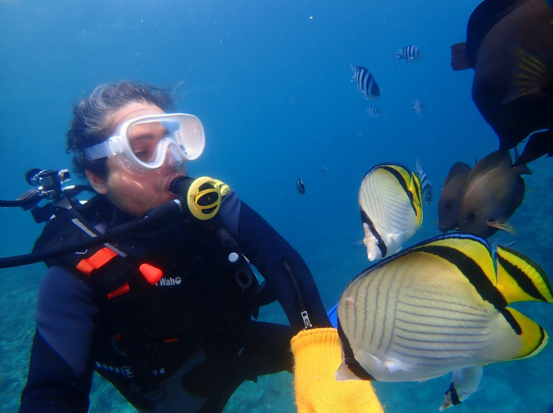 Diving Shop Natural Blue-读谷村必去景点
