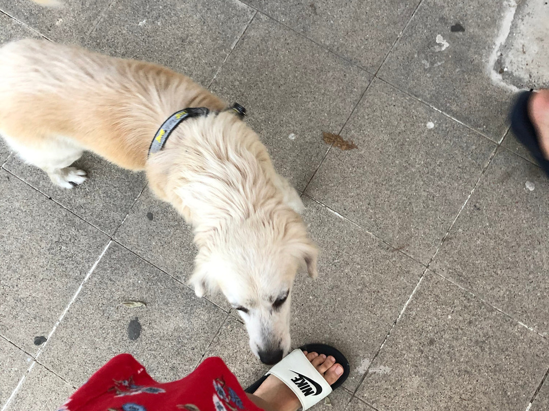 Zante Vero Rooms主图