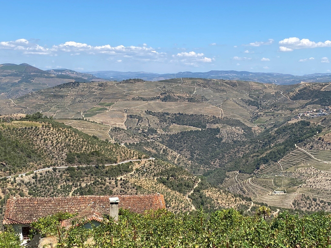 Hotel Douro inn主图