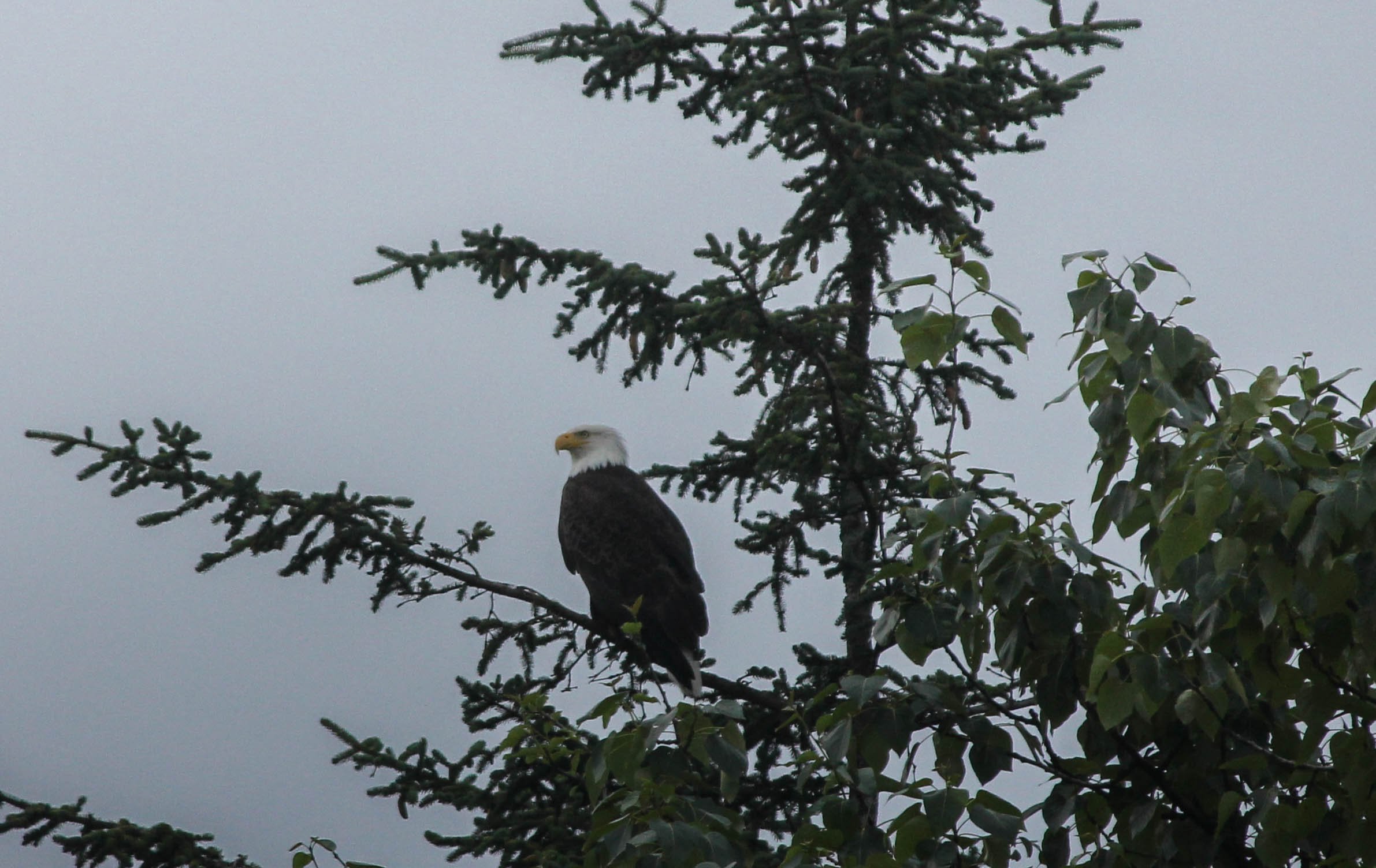 Beachside Villa Luxury Inn-酒店景观