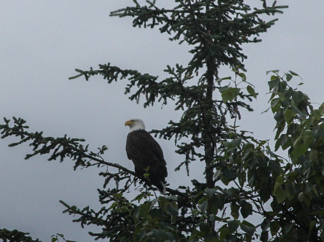 Beachside Villa Luxury Inn主图