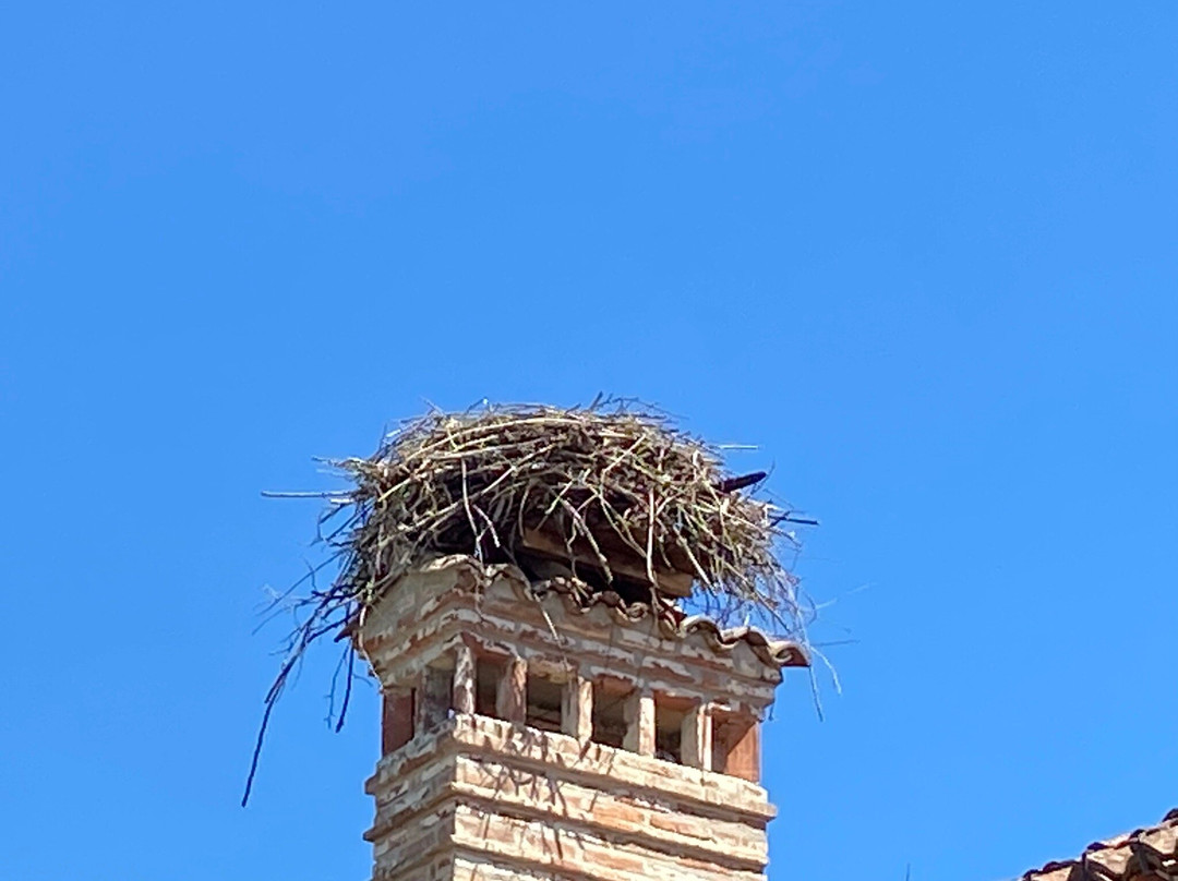 Associazione Centro Cicogne E Anatidi-Racconigi必去景点