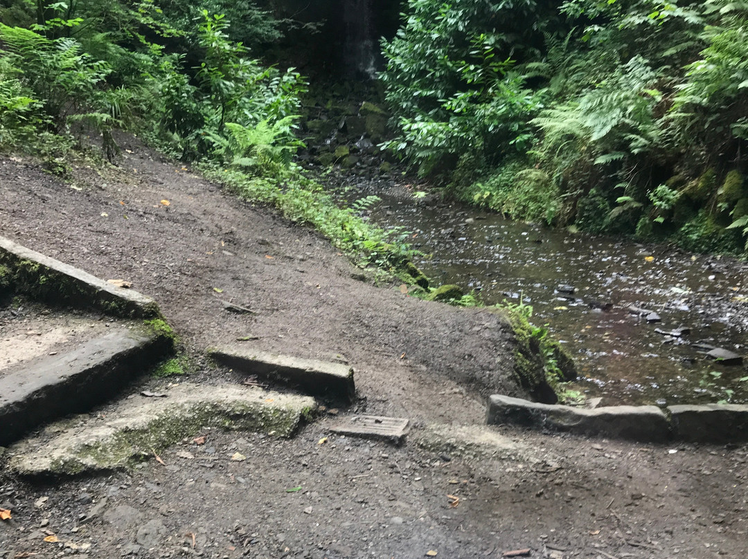 Bold Venture Park-Darwen必去景点