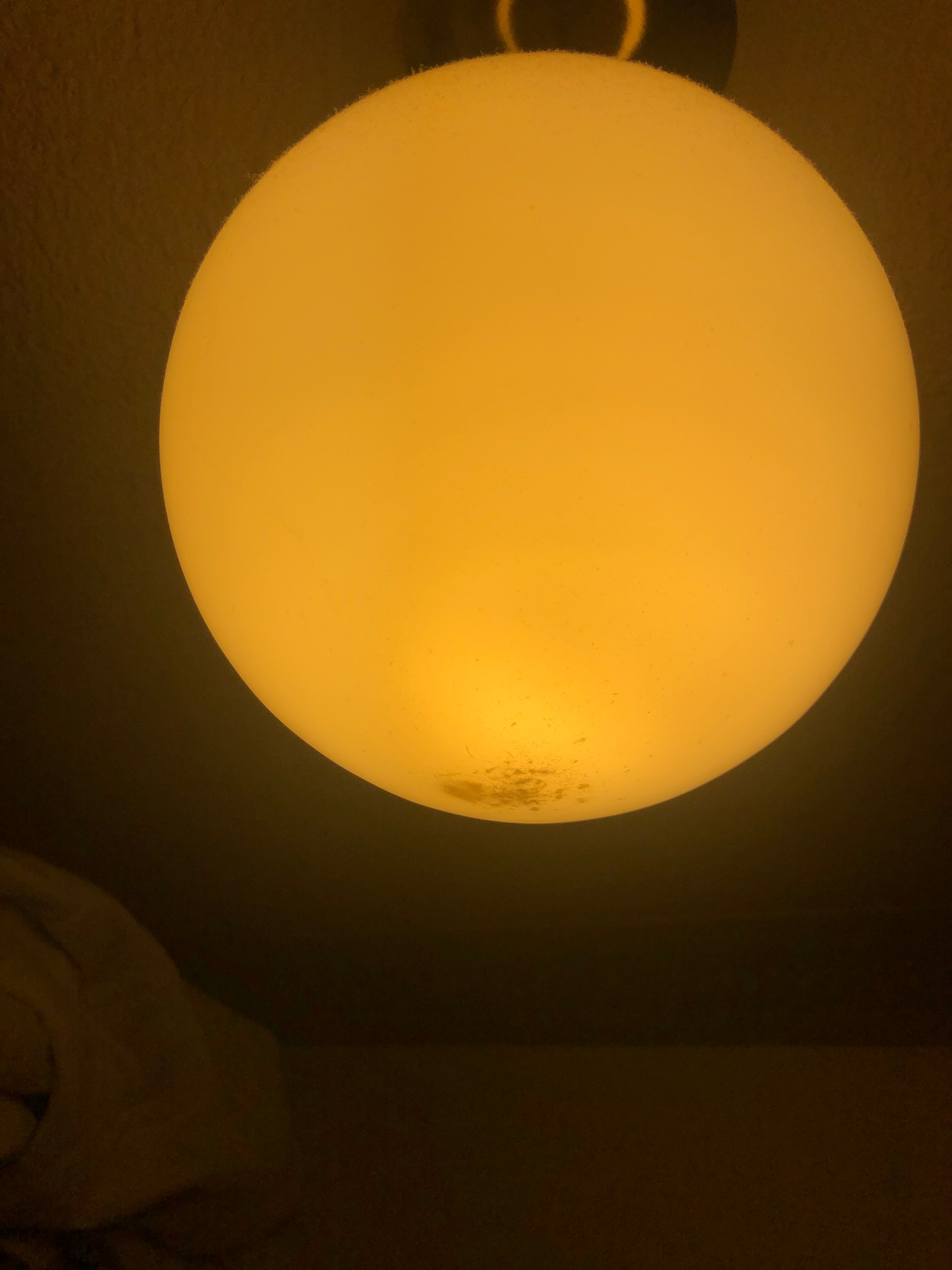 Ocean Crest Motel-官方