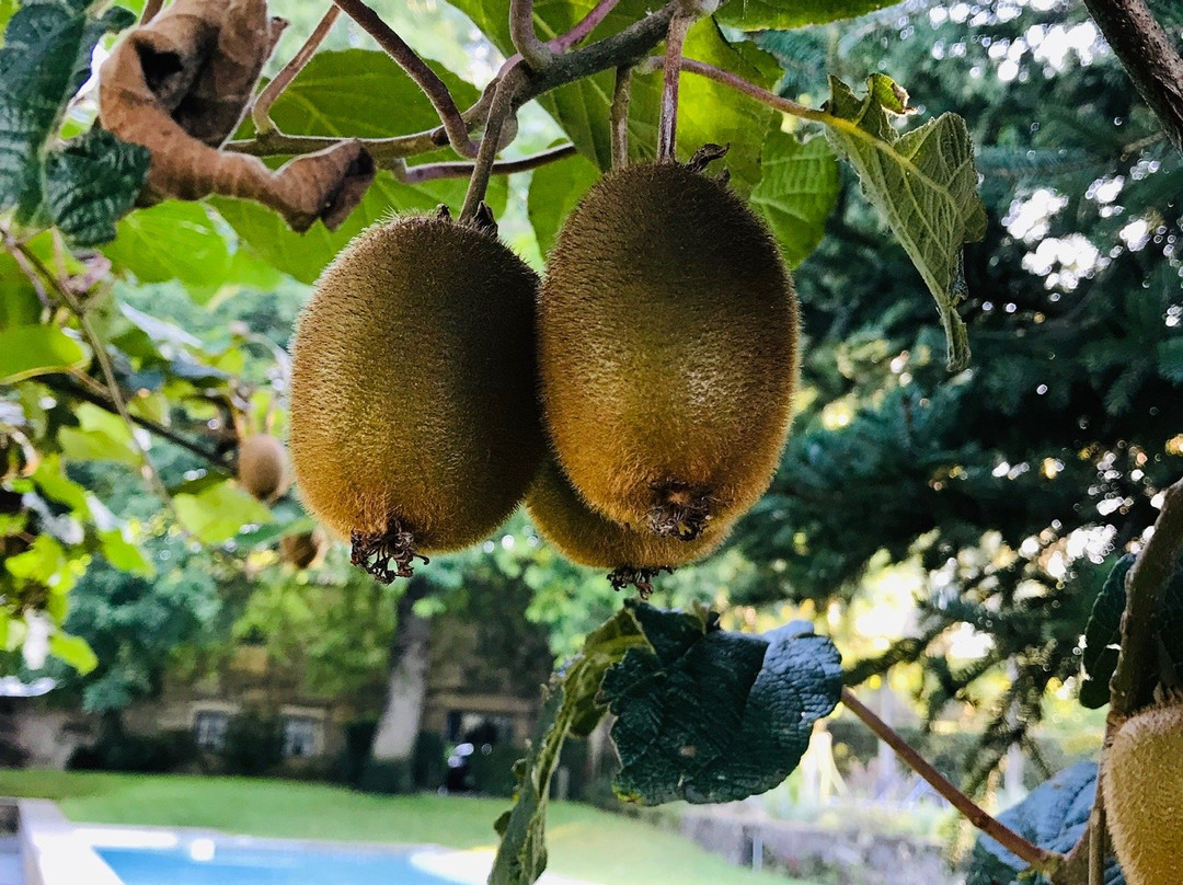 Quinta do Louro主图