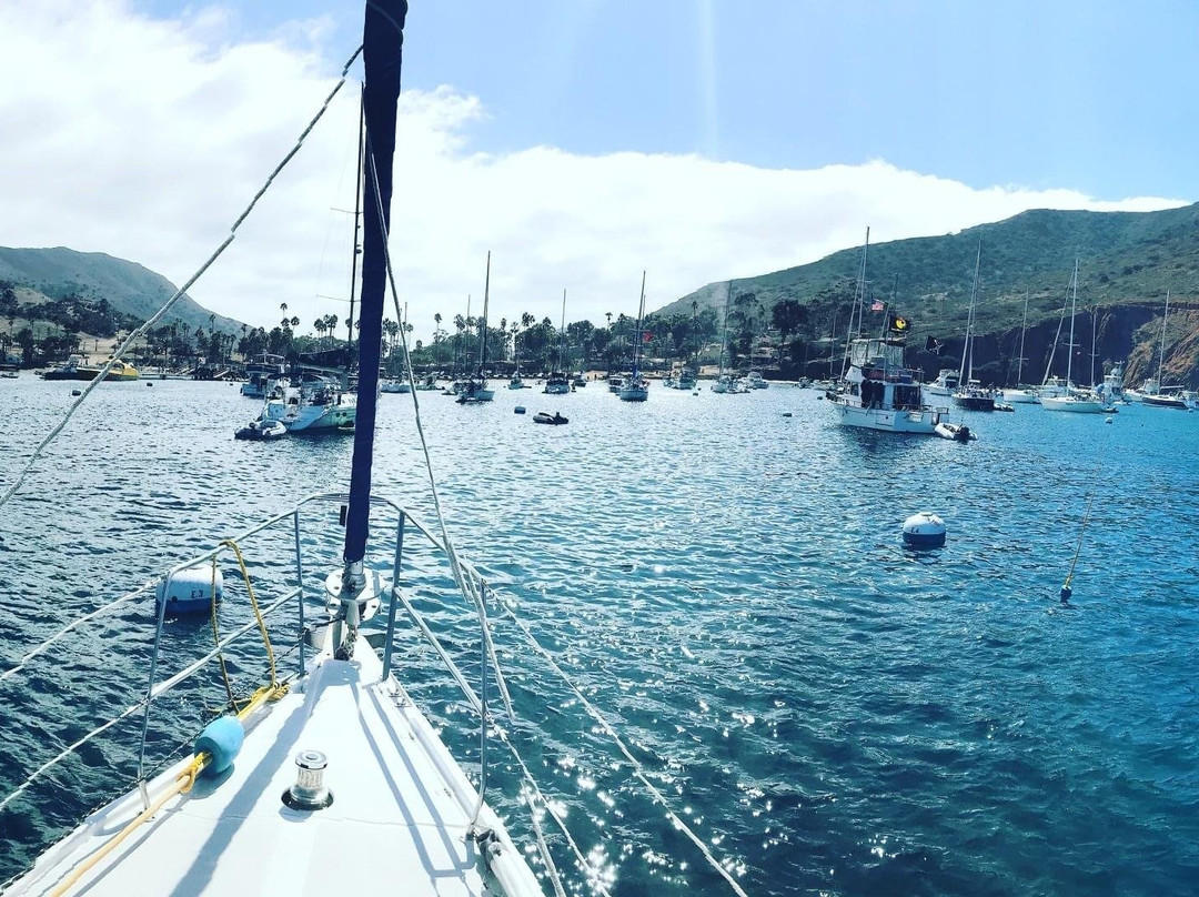 Captain Frank's Sailing Adventures-纽波特海滩必去景点