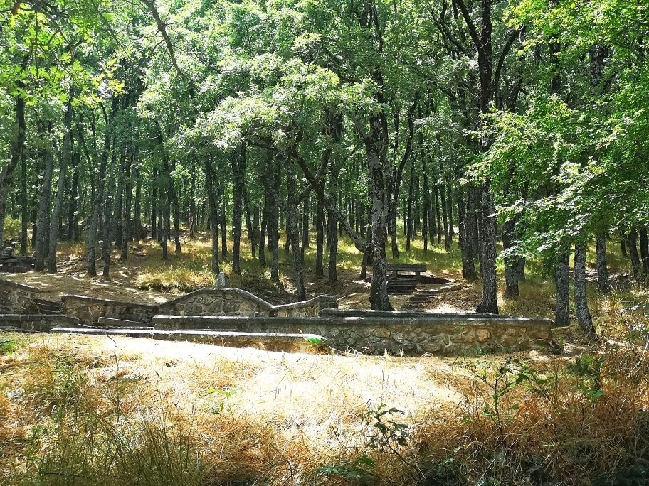 Área Recreativa Fuente Del Cura景点图片