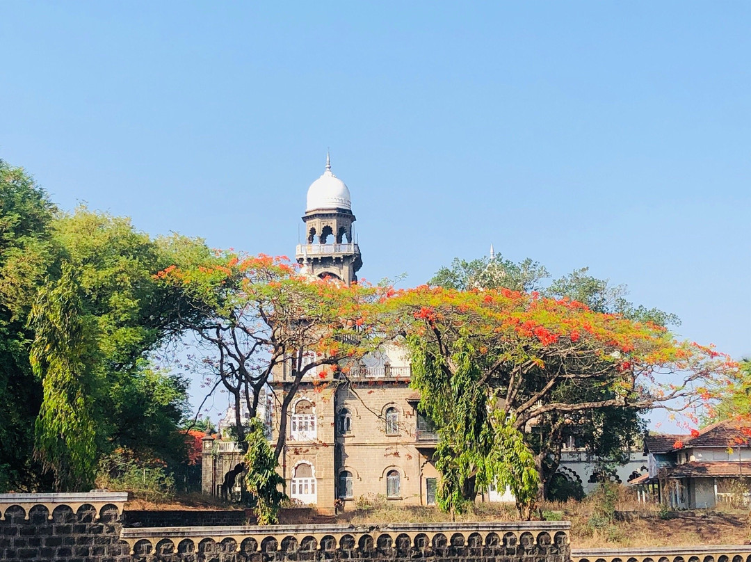 Shalini Palace Hotel主图