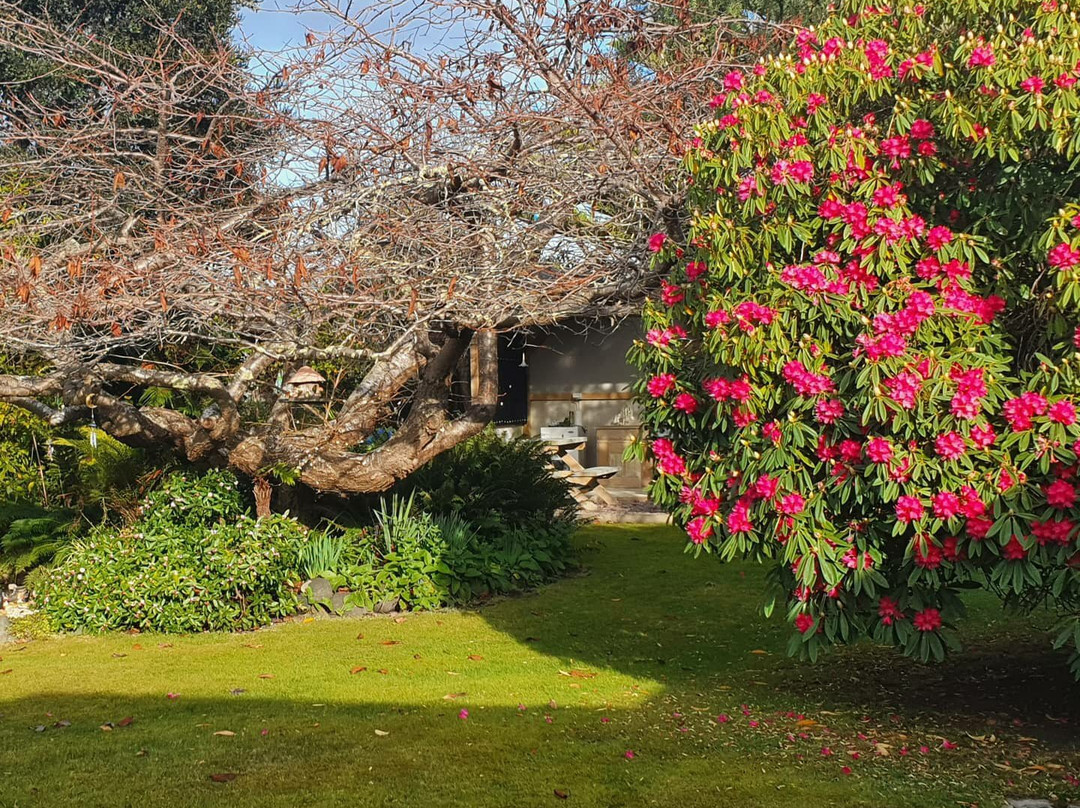 Smugglers Rest主图