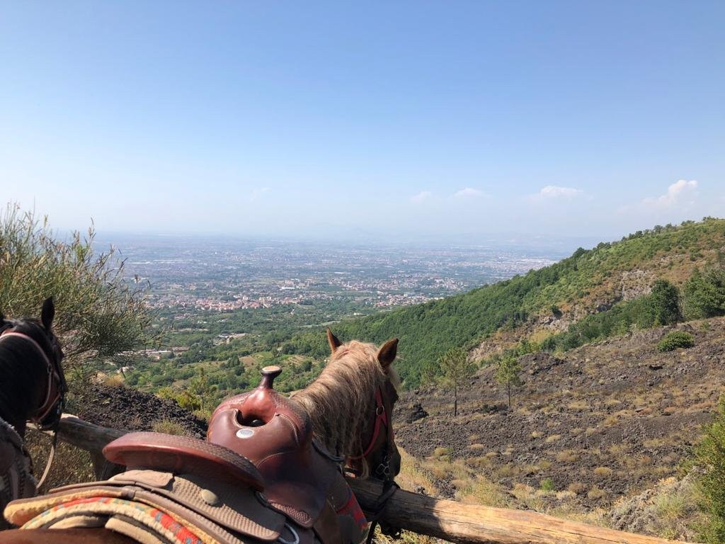 Horse Riding Tour景点图片