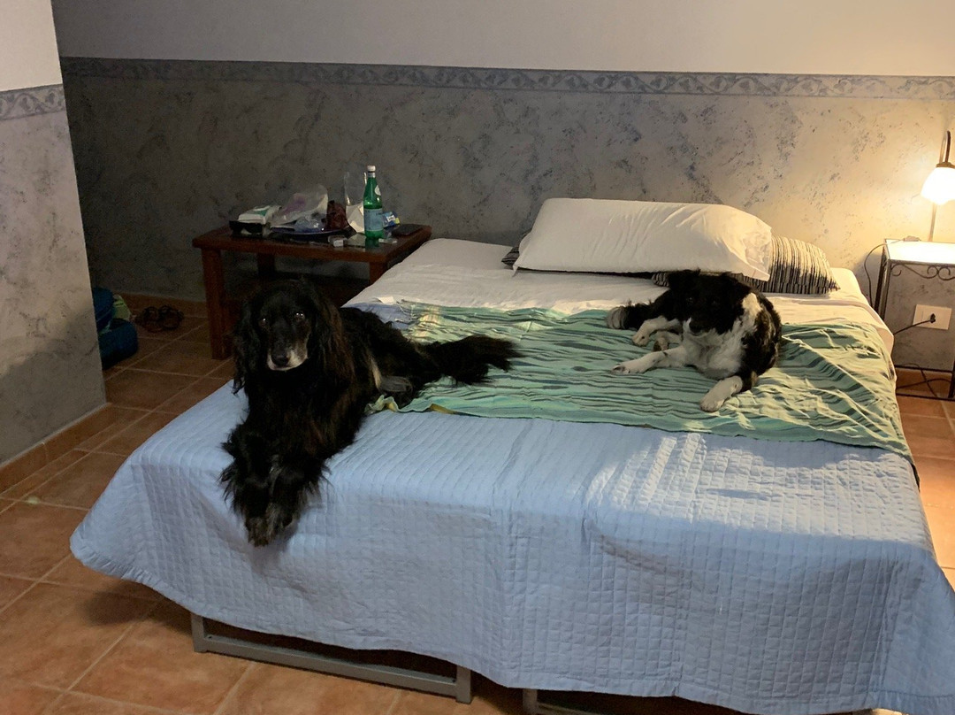 Casale La Rovere主图
