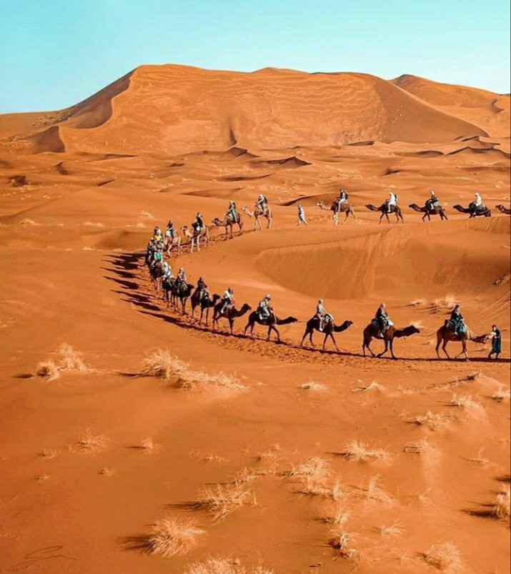 Morocco Travel Online景点图片