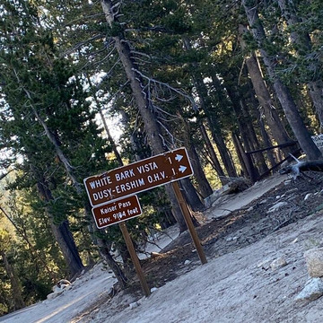 White Bark Vista Point-Lakeshore必去景点