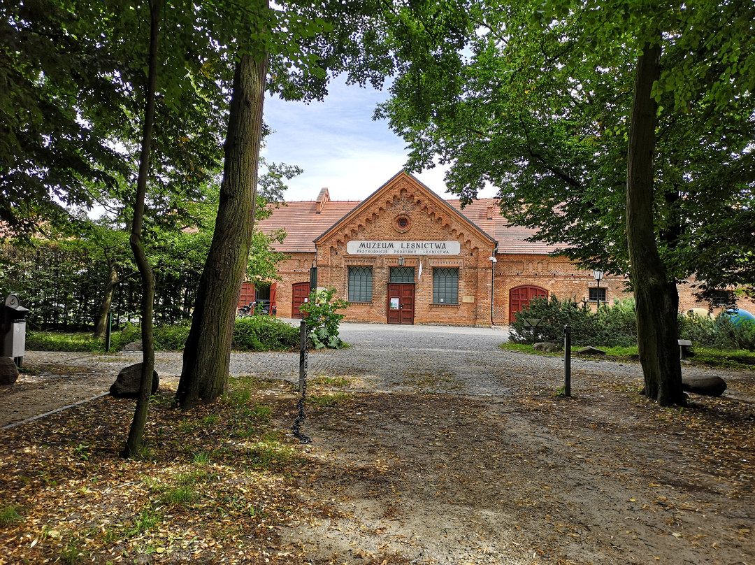 Forestry Museum景点图片