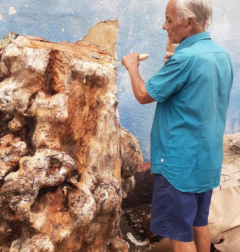 Miguel Ferreira Araujo Museum-Taperoa必去景点