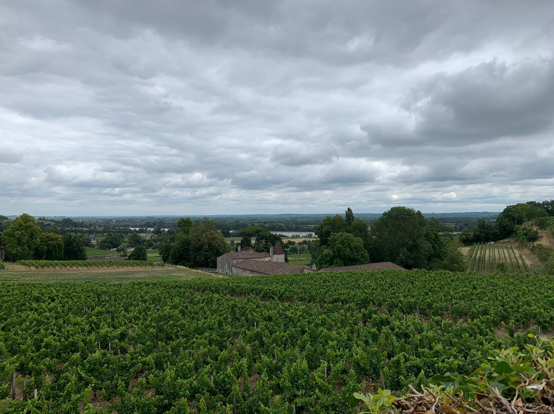 Chateau Belloy景点图片