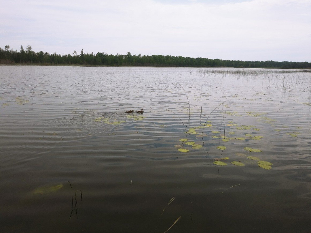 Hills Point Resort主图