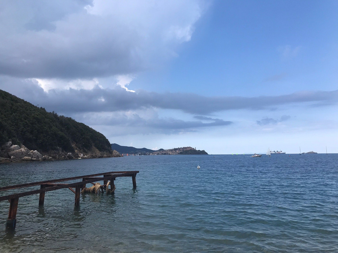 Spiaggia Di Bagnaia景点图片