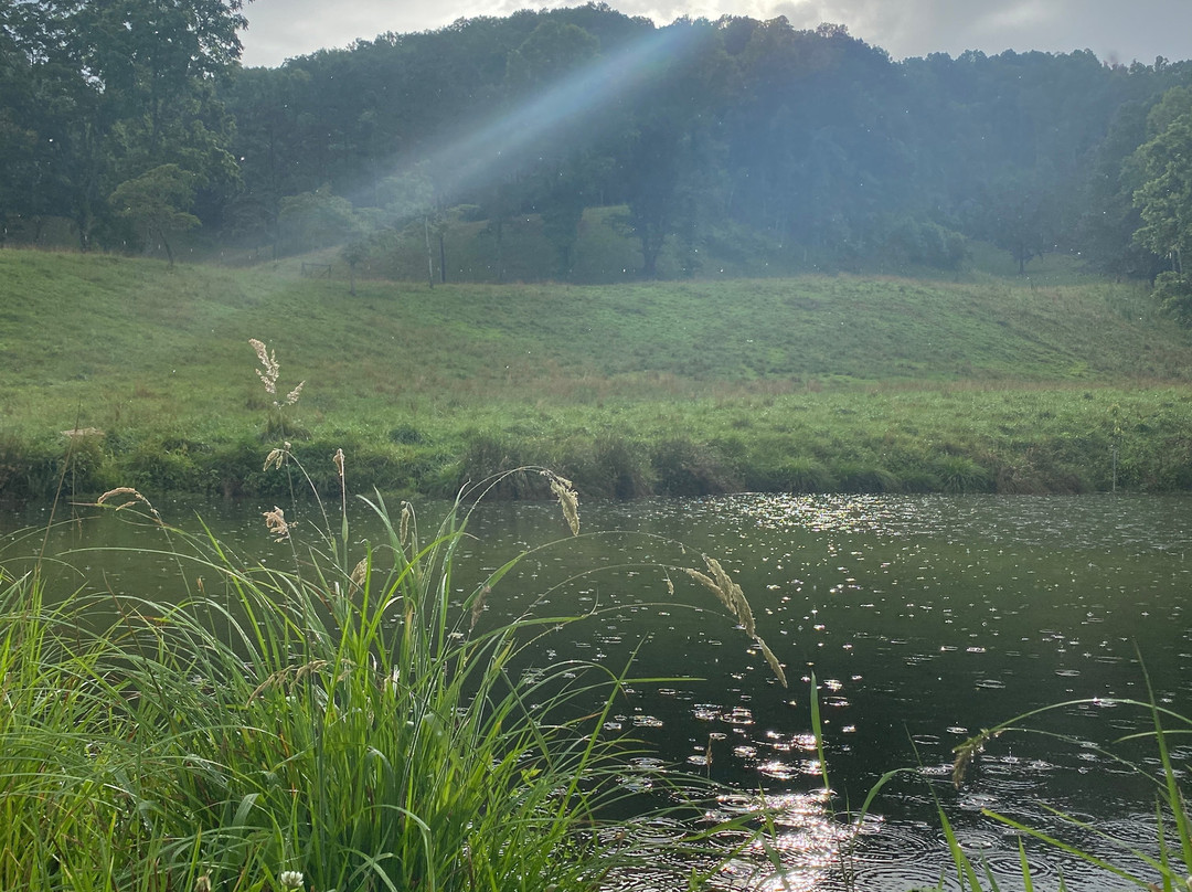Walnut Hollow Ranch-Hayesville必去景点