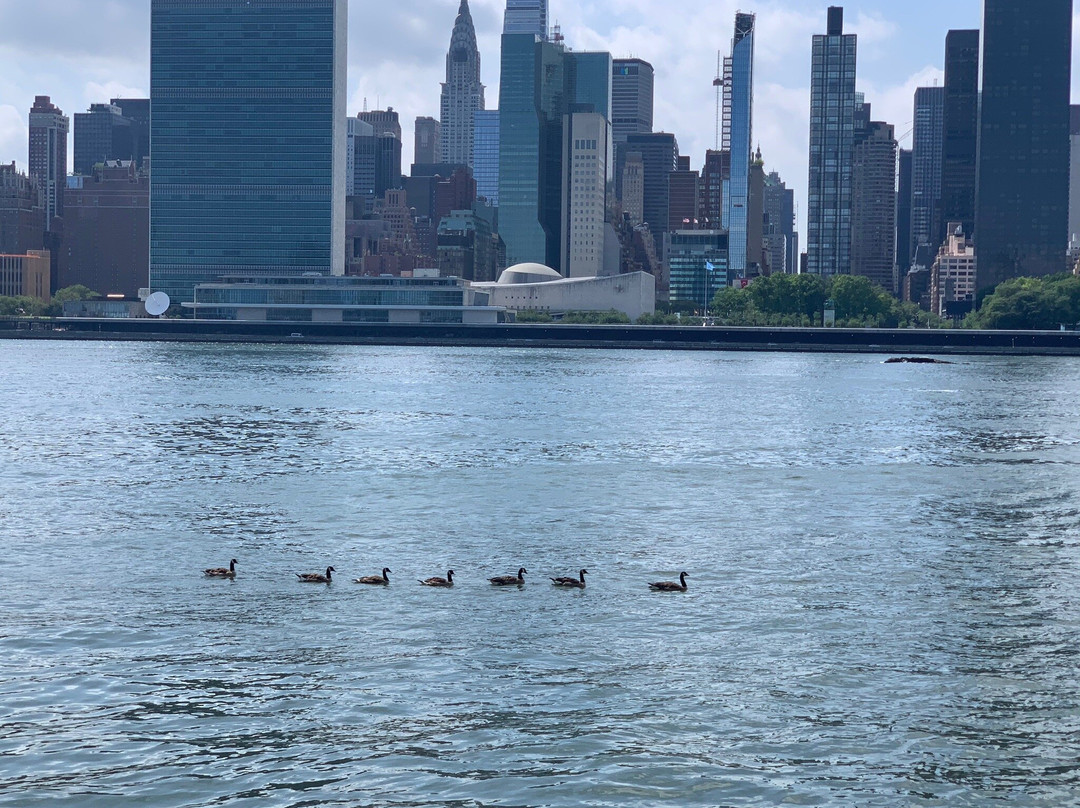 Pepsi Cola Sign-长岛市必去景点