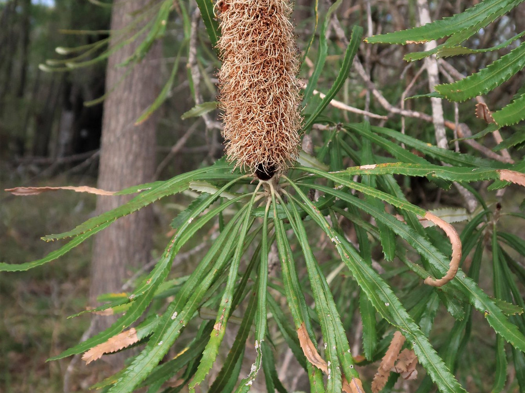 Manea Park-班伯利必去景点