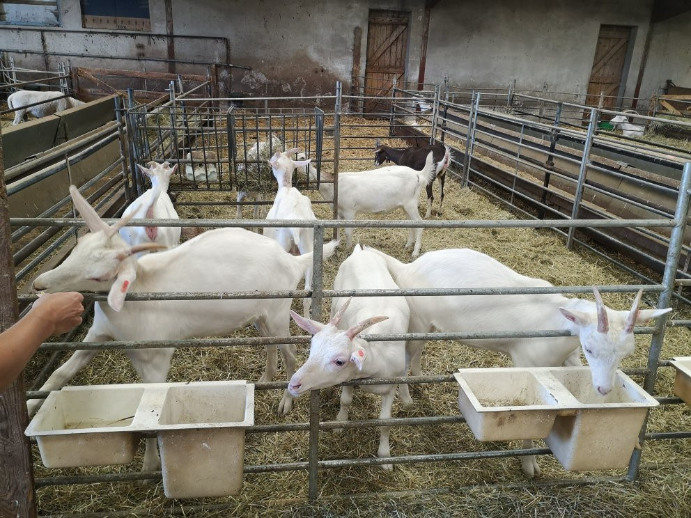 Ferme du Busset主图