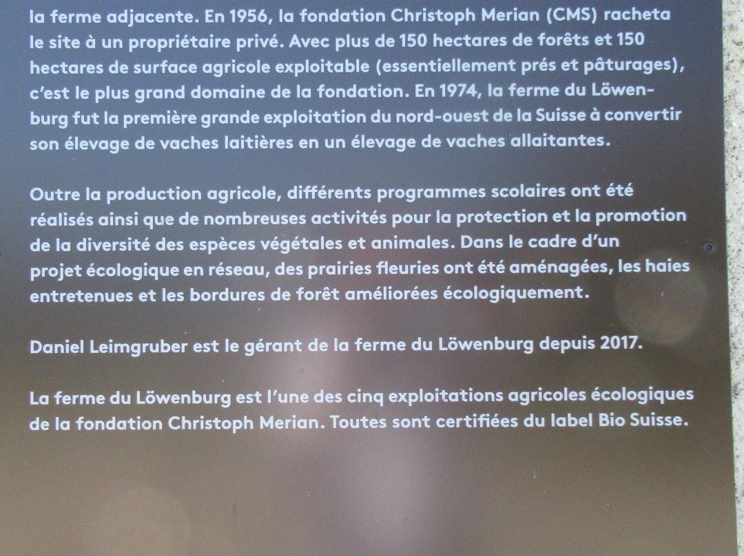 Domaine du Lowenburg-Lowenburg必去景点