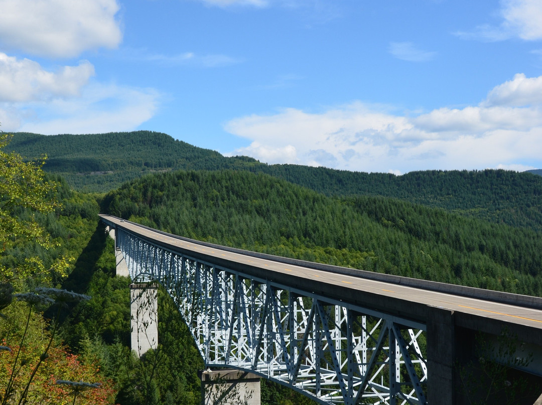 Hoffstadt Creek Bridge景点图片