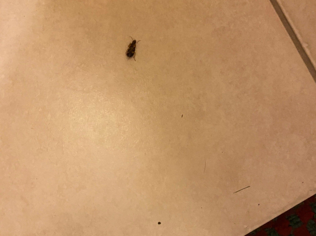 Days Inn by Wyndham Andover主图