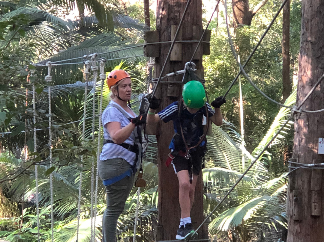 Treetop Challenge-可伦宾必去景点