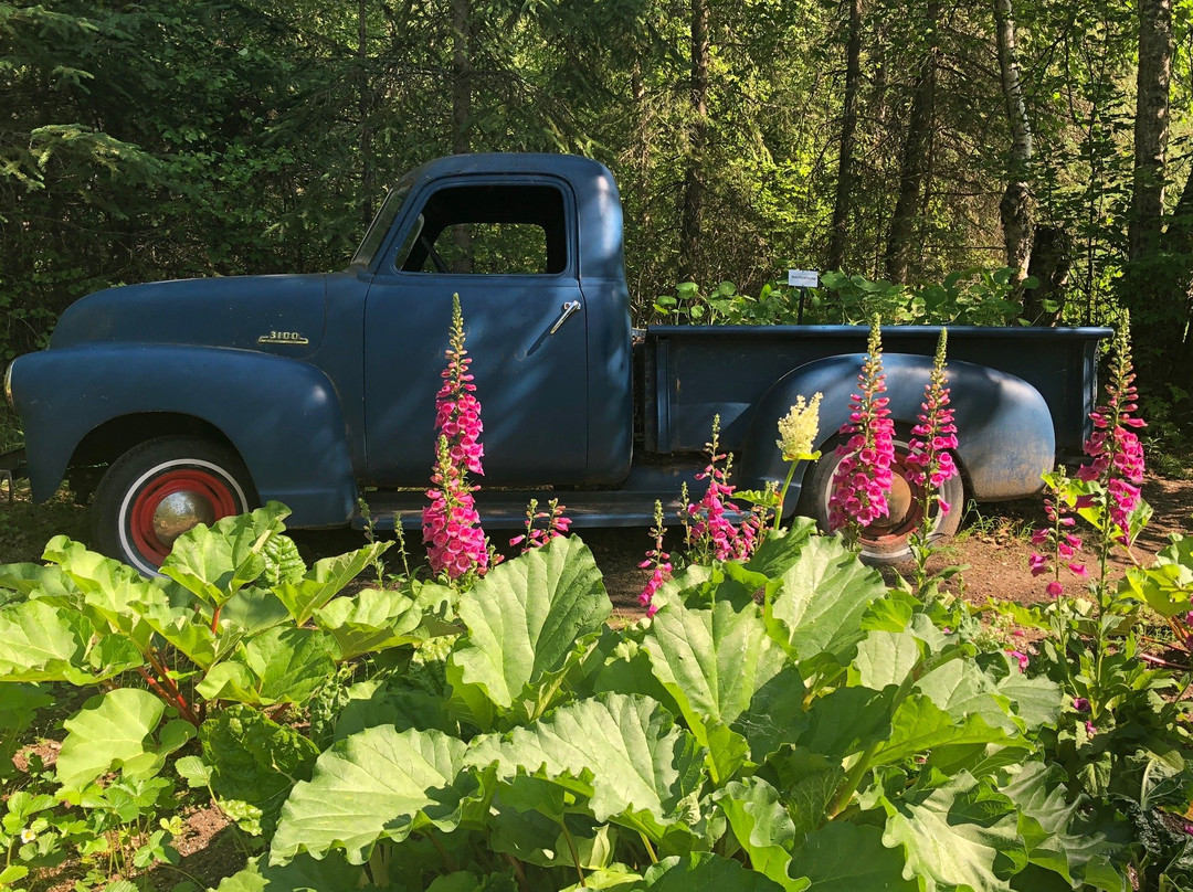 Alaska Botanical Garden景点图片