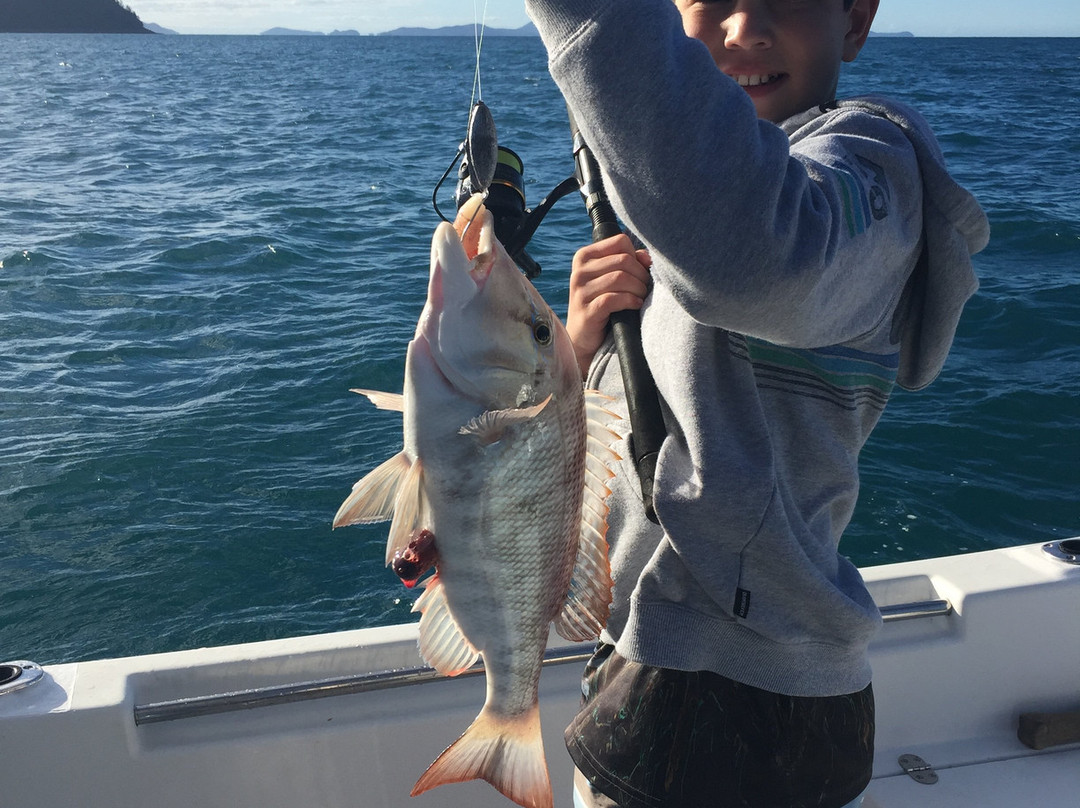 Barra 2 Billfish Fishing Charters景点图片
