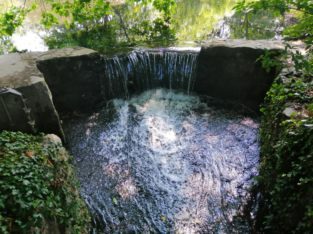 Bradbourne Lake Park景点图片