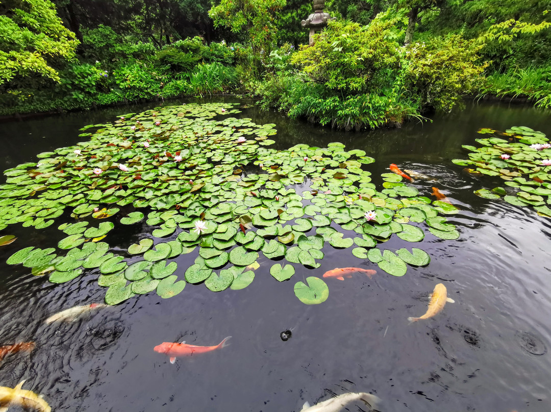 离家石田屋旅馆主图