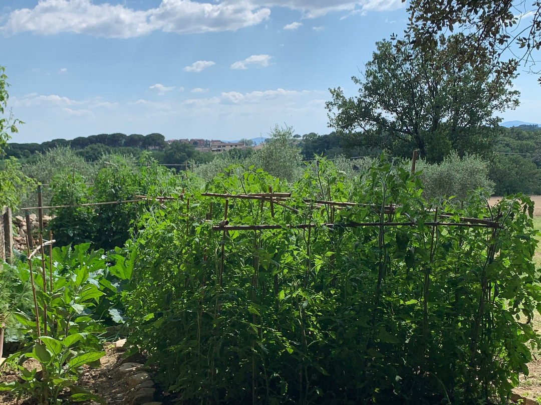 Villa Osperellone主图