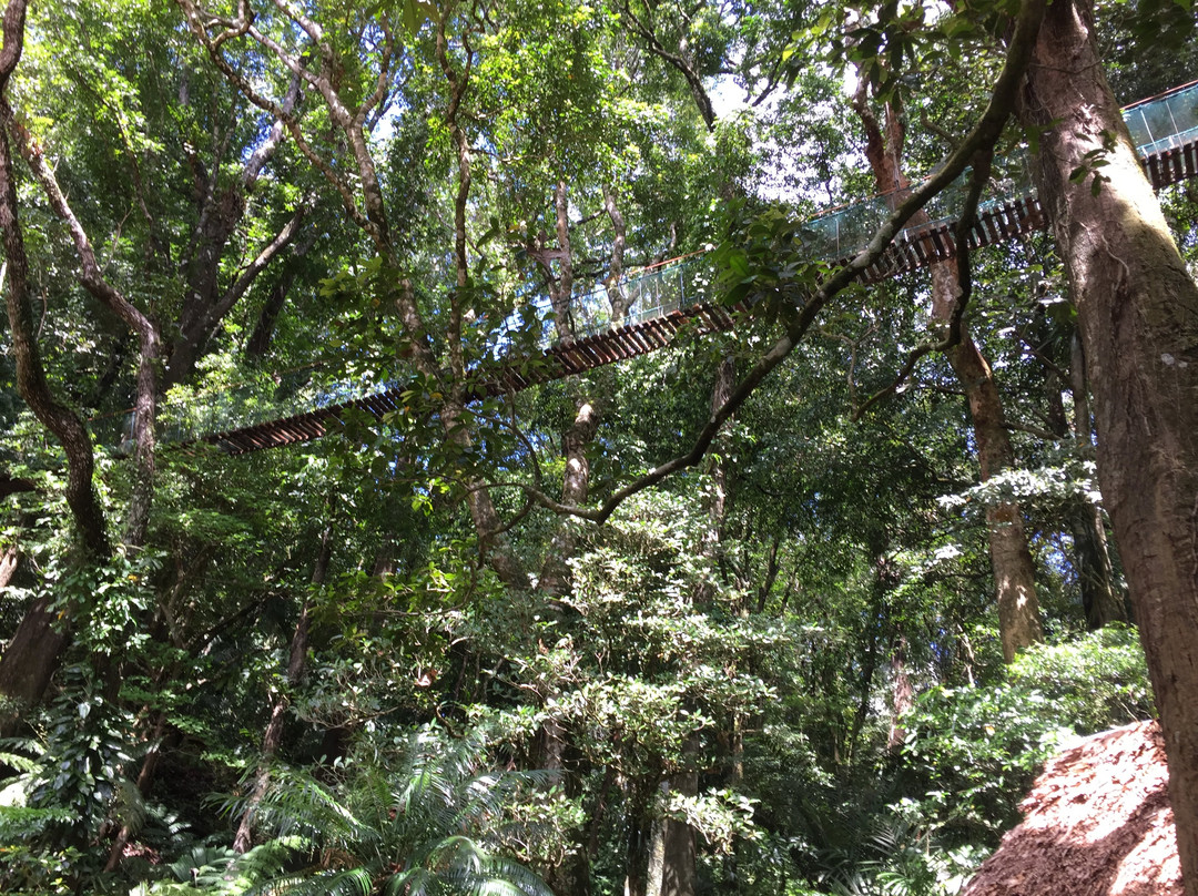 Bulusan Lake-Bulusan必去景点