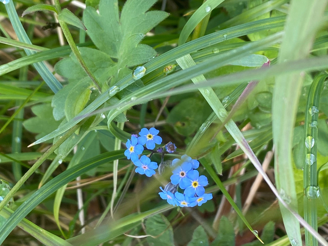 Carter Lake trail-穆斯帕斯必去景点