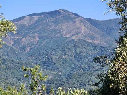 South Coast Aventuras-埃斯特波纳必去景点