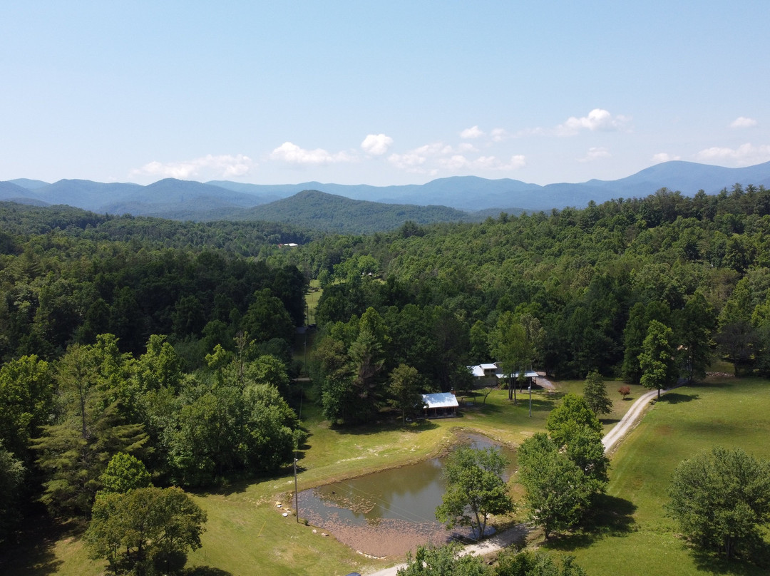 Bald Mountain Creek Farm