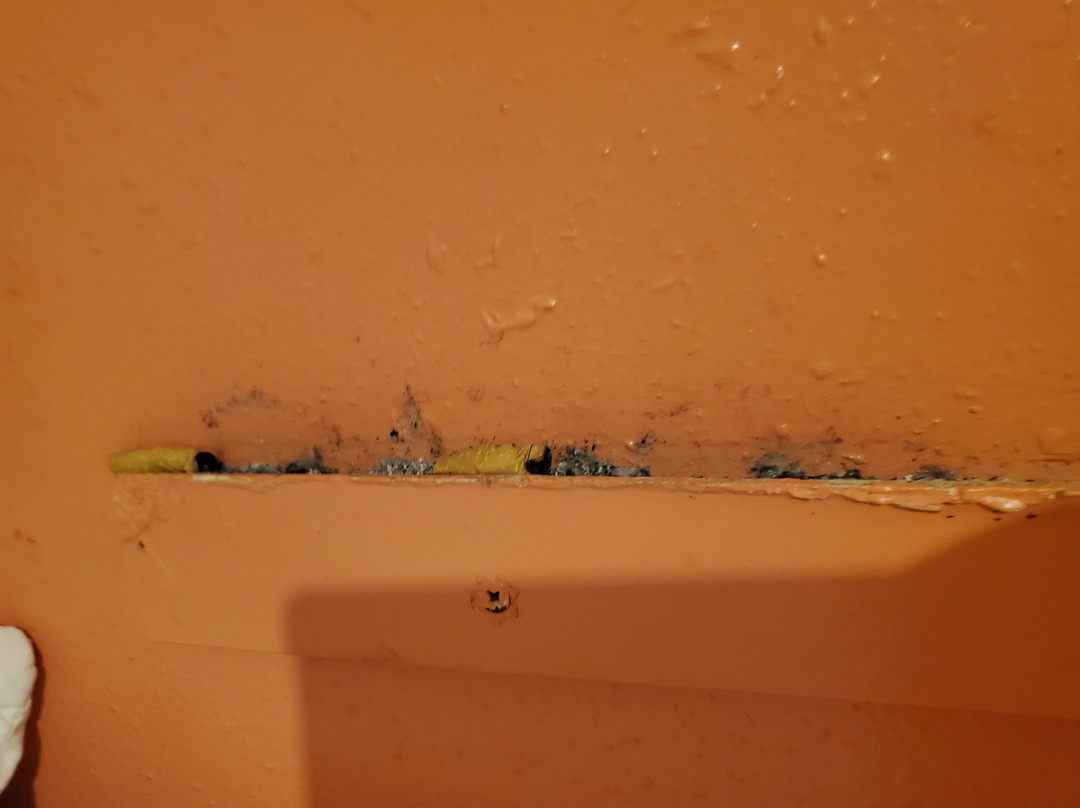 Rodeway Inn & Suites主图