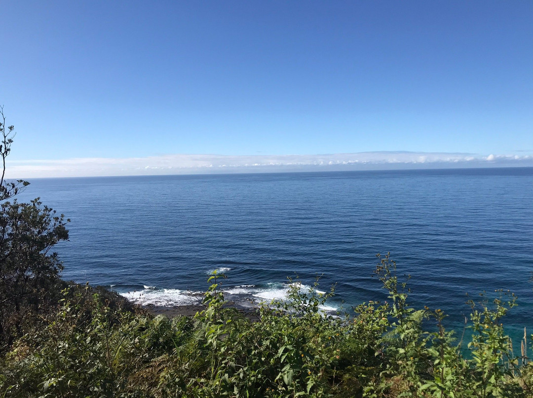 Crackneck Lookout Coast Walk景点图片