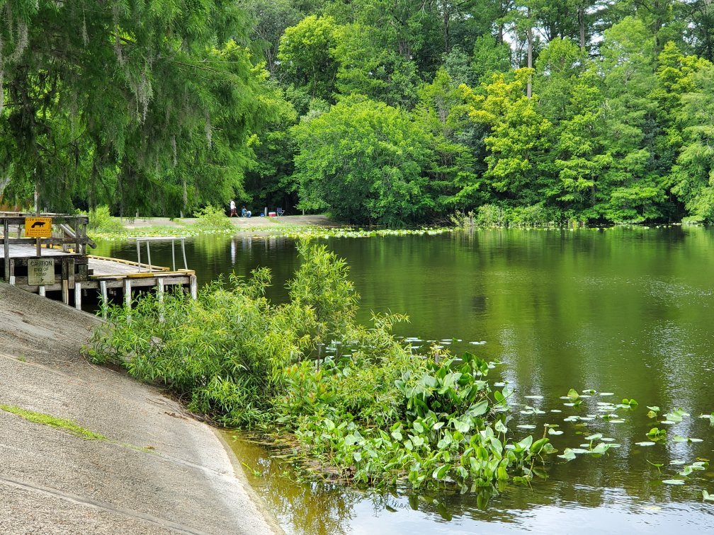 Ray Wayside Park-Silver Springs必去景点