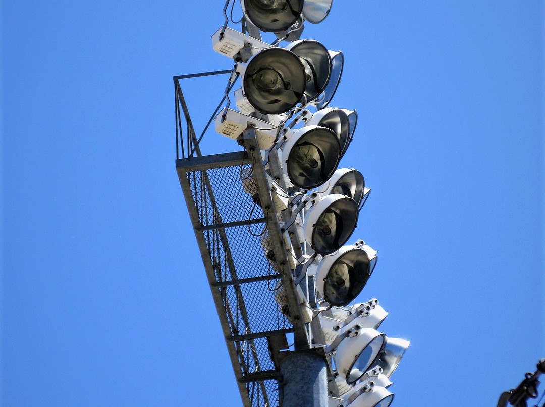 Dozer Park-皮奥里亚必去景点