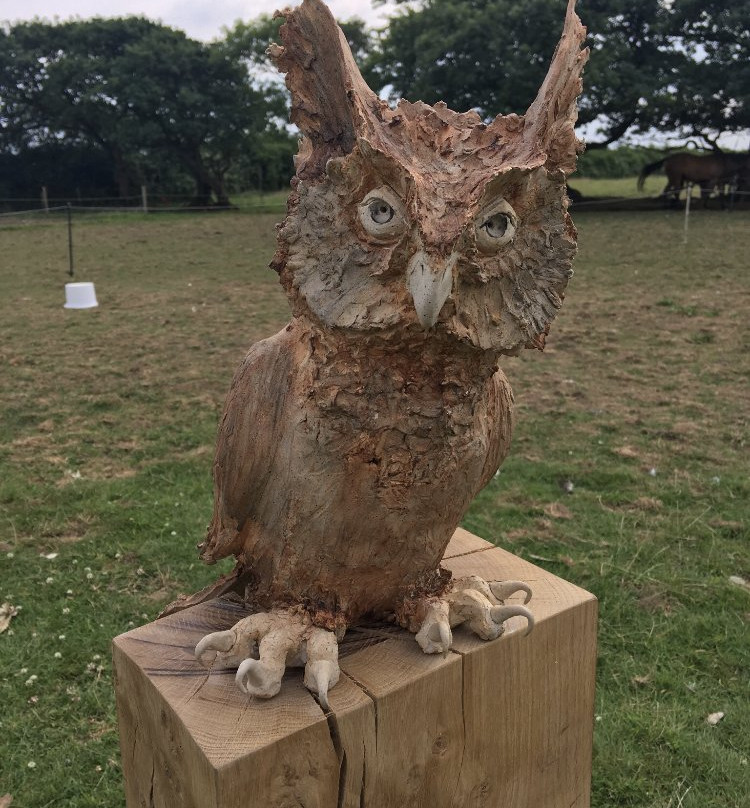 Pottery Box-Holsworthy必去景点