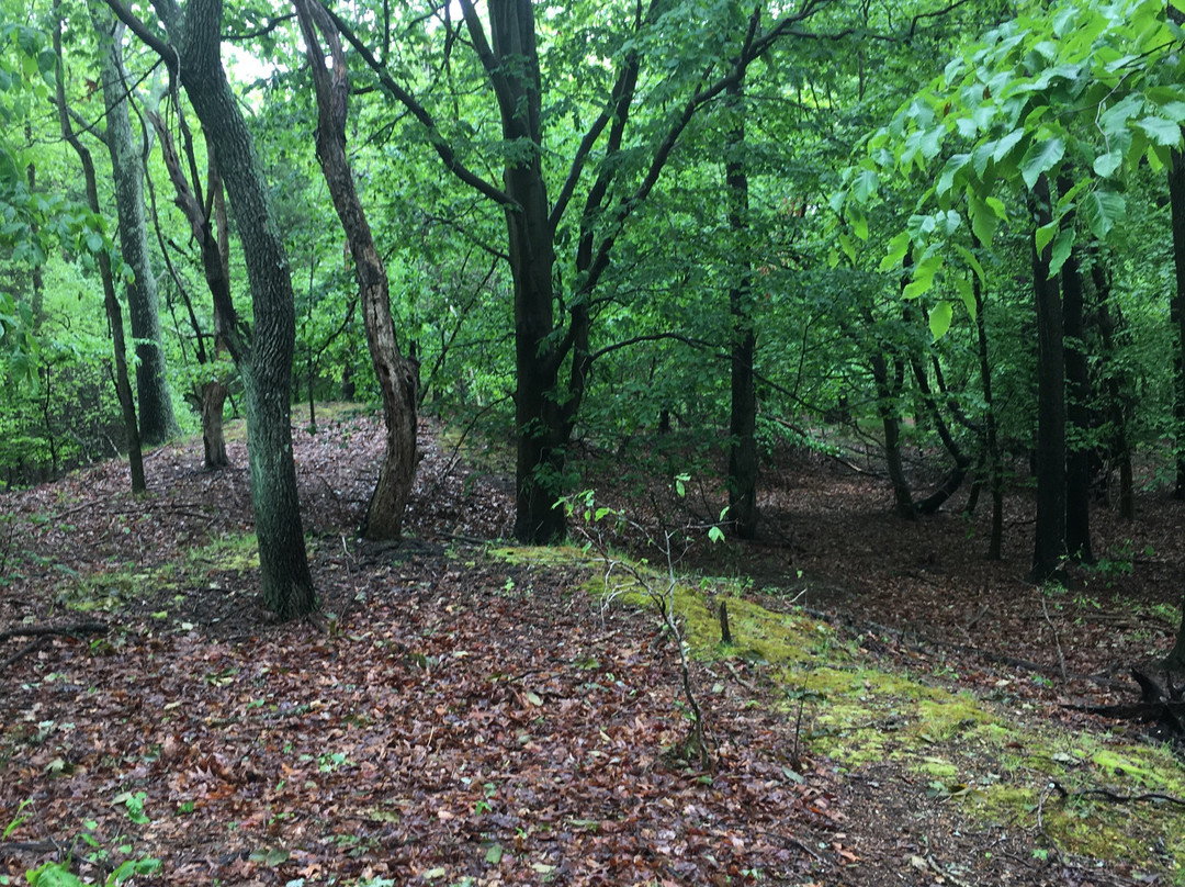 Crosswicks Creek Park景点图片