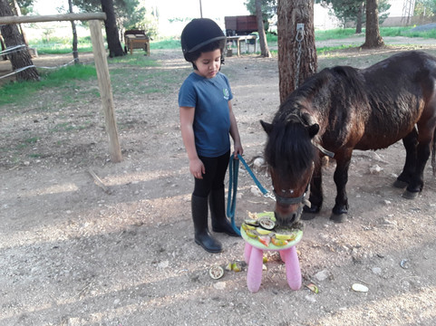 Els Reguers旅游攻略图片